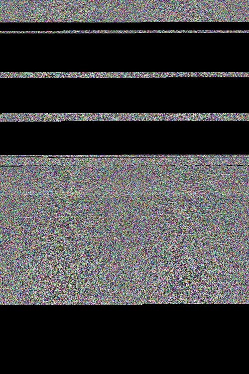 Bike Messengers: Pedaling Ass