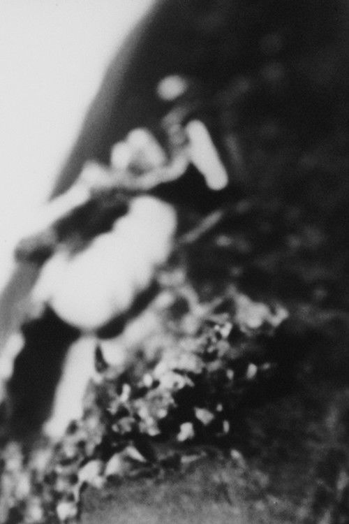 Hidden Objects 9 poster