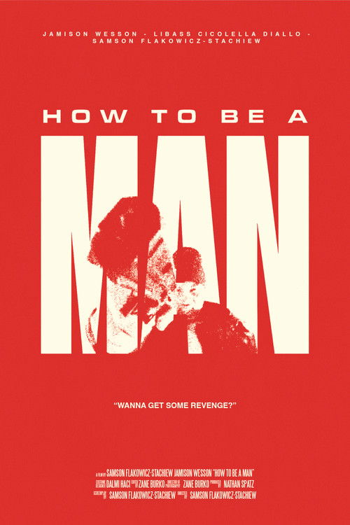 How To Be A Man poster