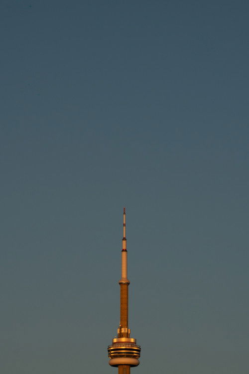 The Tower That Built a City