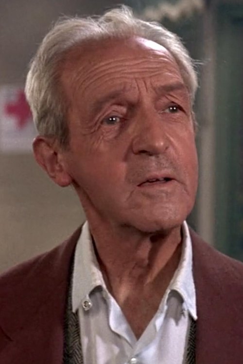 Anthony Jochim as Baggage Steward (uncredited)