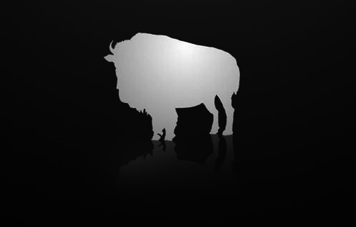 Buffalo Picture House logo