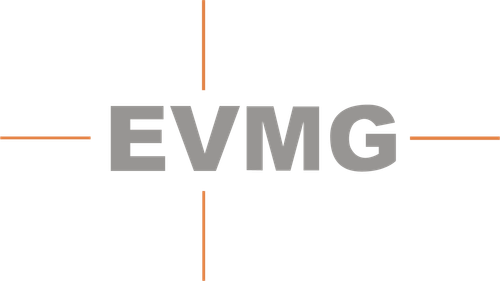 Eagle Vision Media Group logo