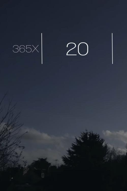 365x : 20 poster