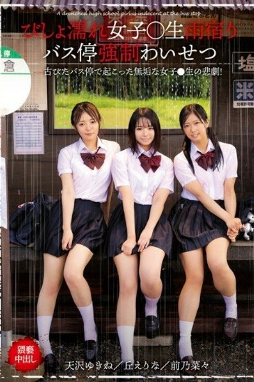 A Dripping Wet Schoolgirl Is Taking Shelter From The Rain At A Bus Stop And Subjected To Filthy Acts poster