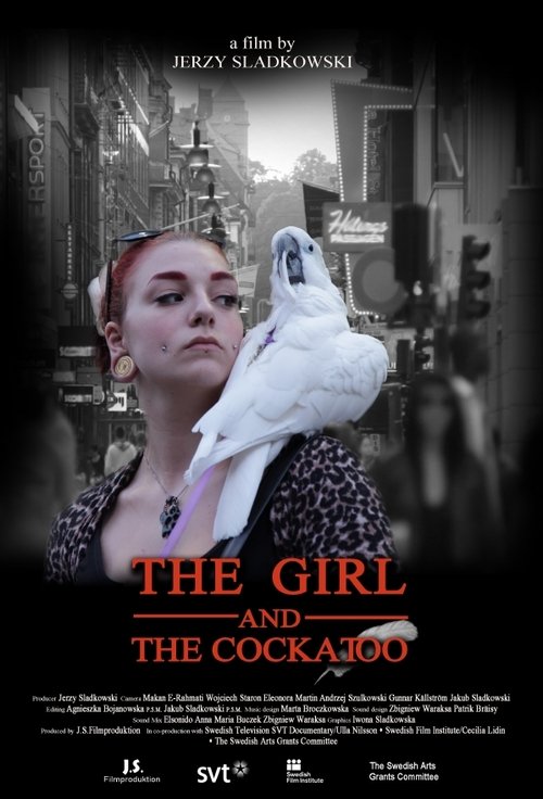 In the Mind of a Parrot poster