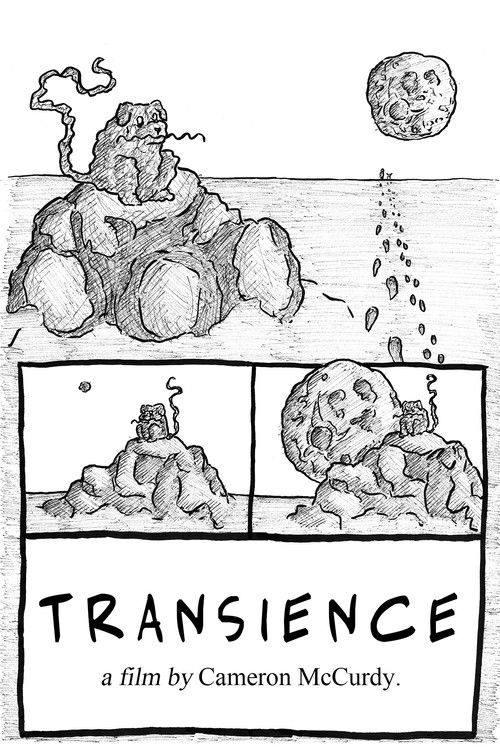 Transience poster