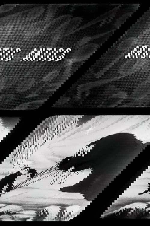 Arctic Antics poster