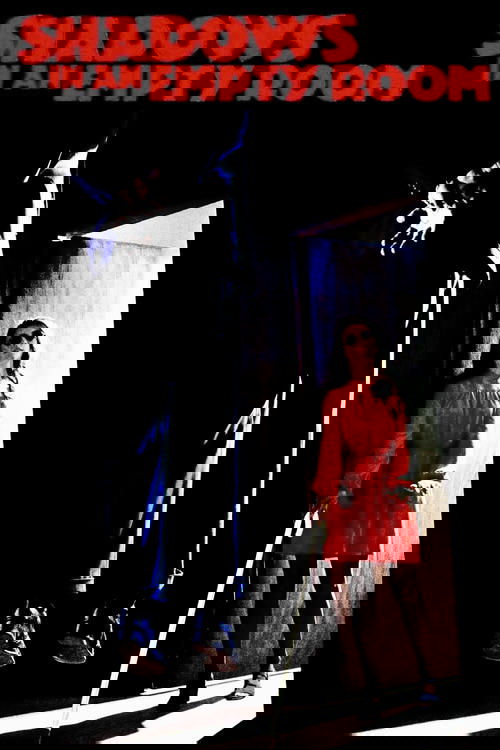 Shadows in an Empty Room poster