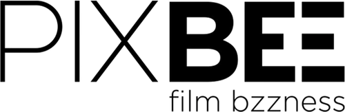 PIXBEE film bzzness logo