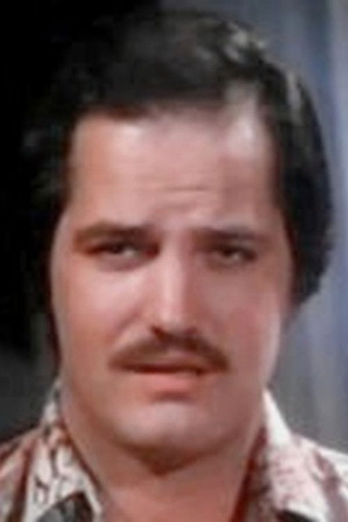 John Hollyfield as The Director