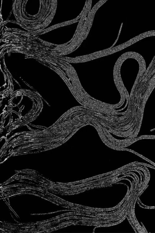 A Free Inquiry Into Air: 110721 poster