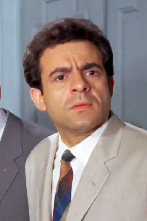 Christos Mantzaris as Mr. Petridis