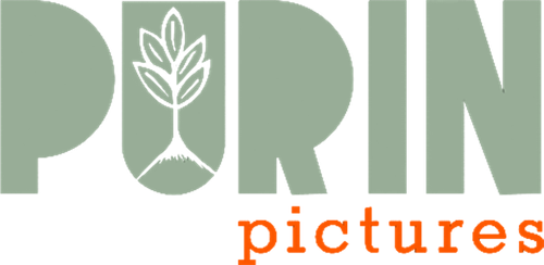 Purin Pictures logo