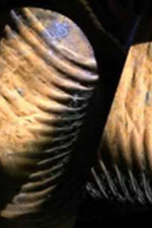 Passage Through Infinity poster