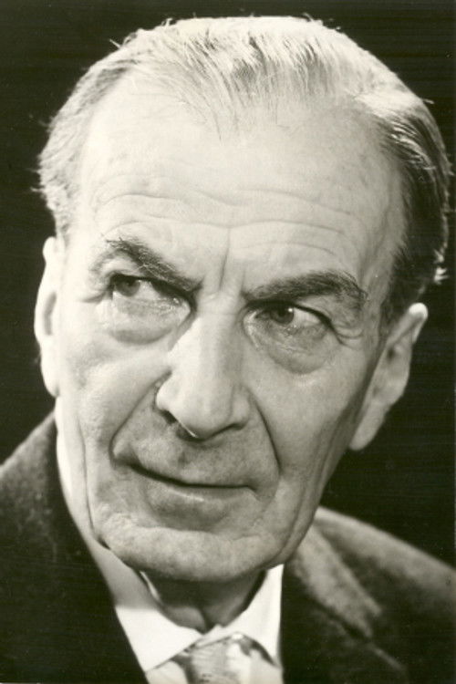 Robert Bürkner as Nicolin