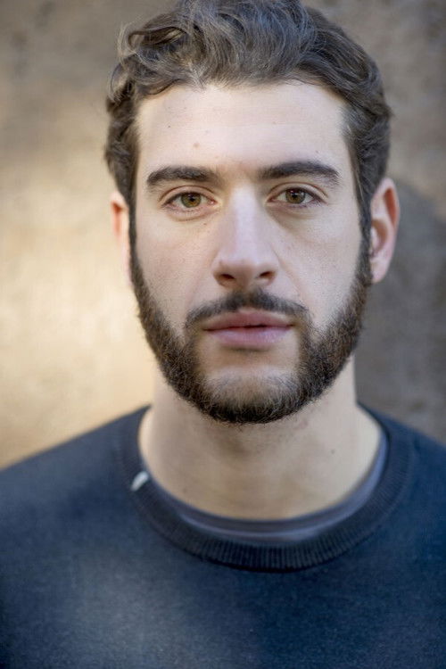 Matteo Berardinelli as Luigi