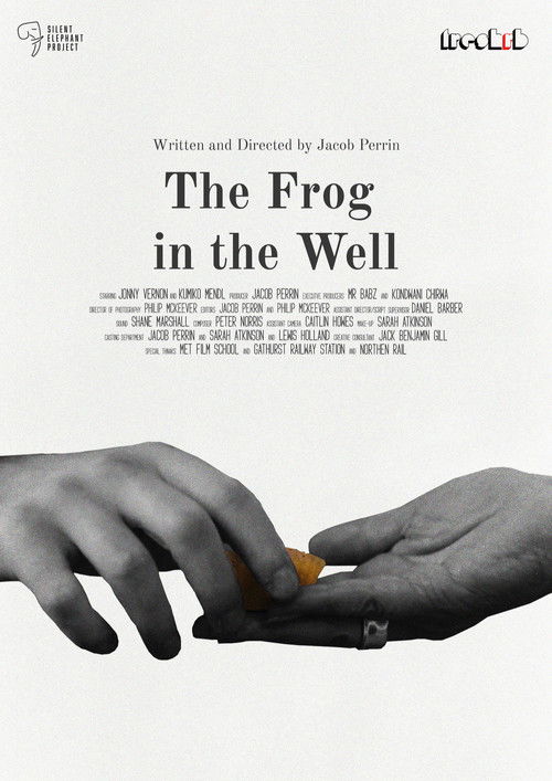The Frog in The Well
