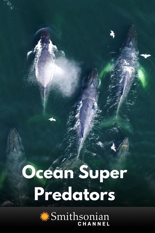Ocean Super Predators poster