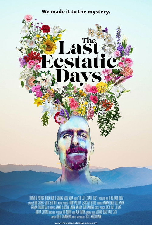 The Last Ecstatic Days poster
