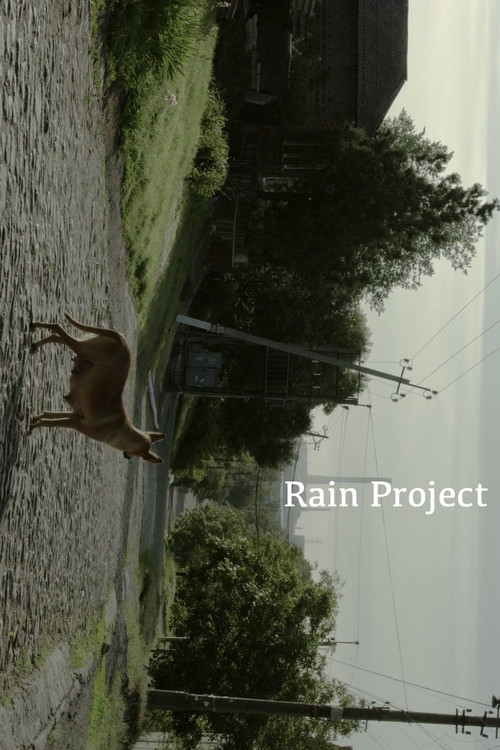 Rain Project