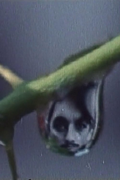 Rites of Spring poster