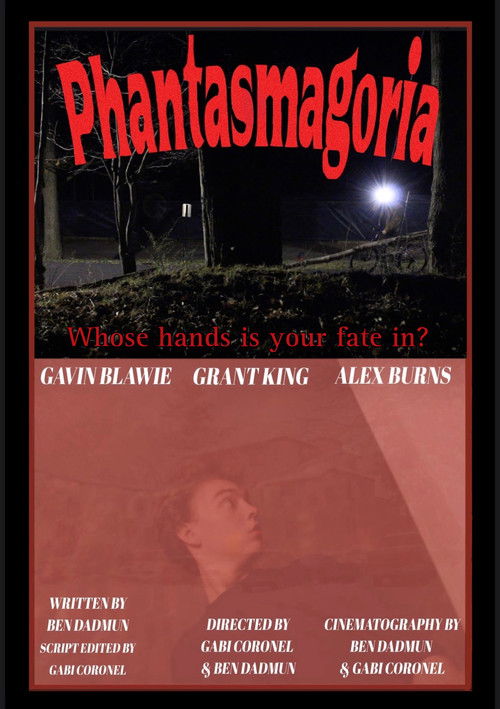 Phantasmagoria poster