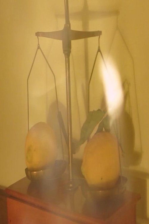 L'ABCDaire de l'amoureuse d'un photographe poster