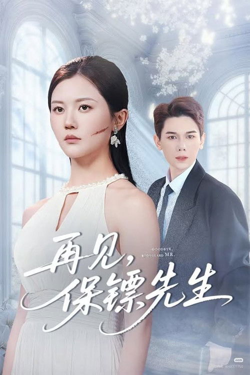 再见,保镖先生
