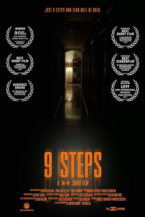 9 Steps poster