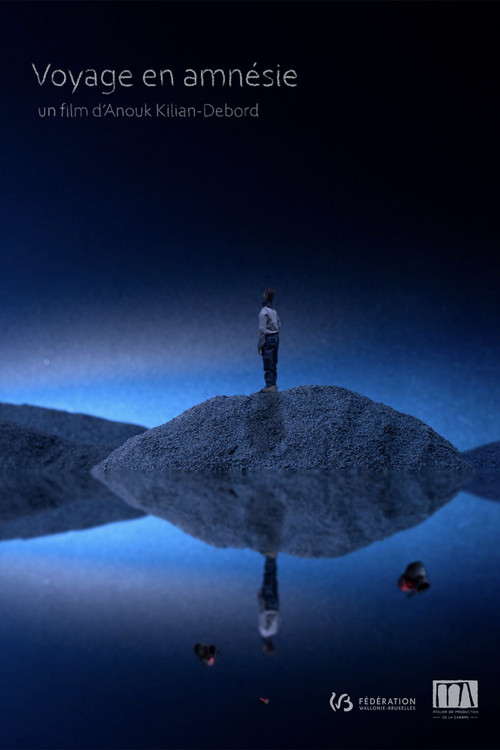 Journey in Amnesia poster