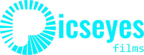 Picseyes logo