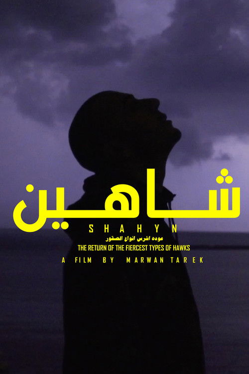 SHAHYN - THE RETURN OF THE FIERCEST TYPES OF HAWKS