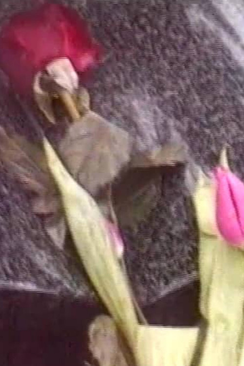 Normalität 1-10 poster