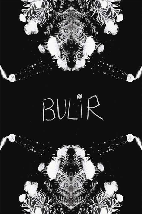 BULIR poster