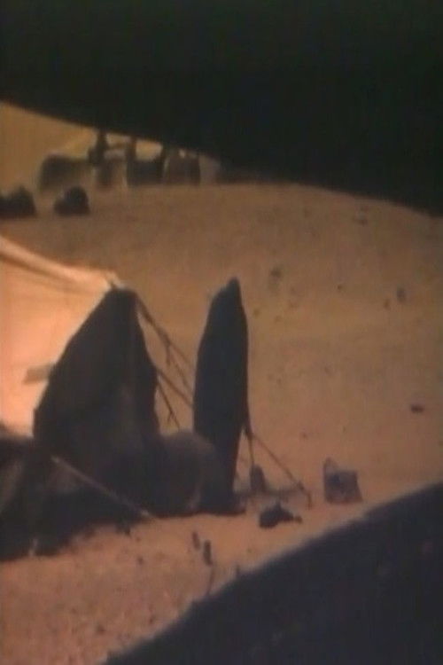 The Sahara is not for sale poster