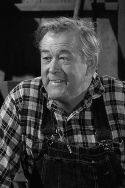 Woody Chambliss as Man in Pub (uncredited)