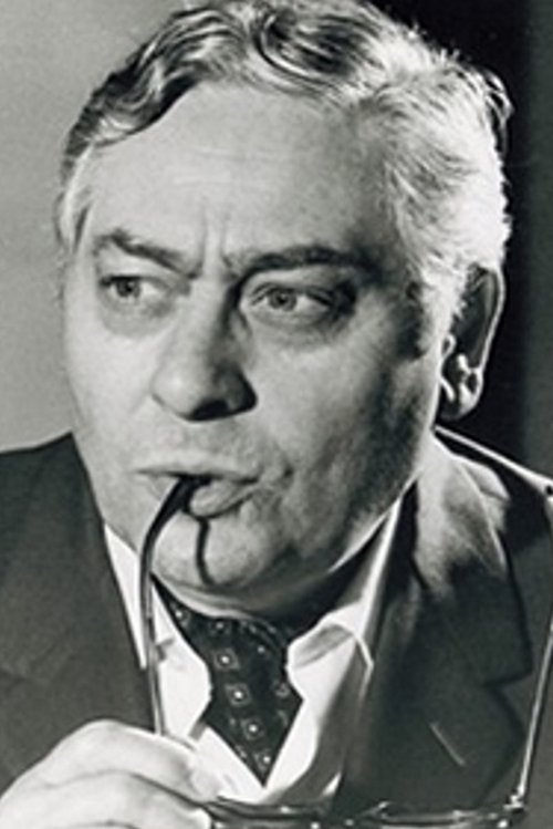 Guy Hoffmann as Judge