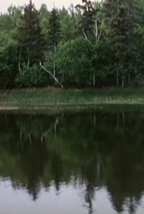 La voix des rivières poster