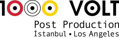 1000 Volt logo