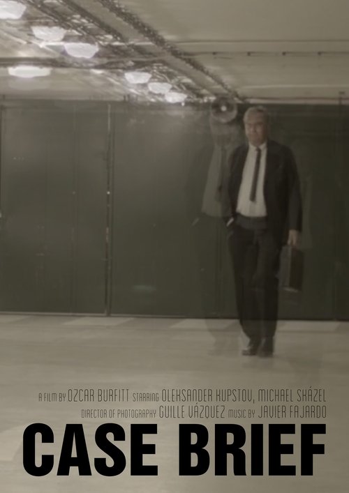 Case Brief
