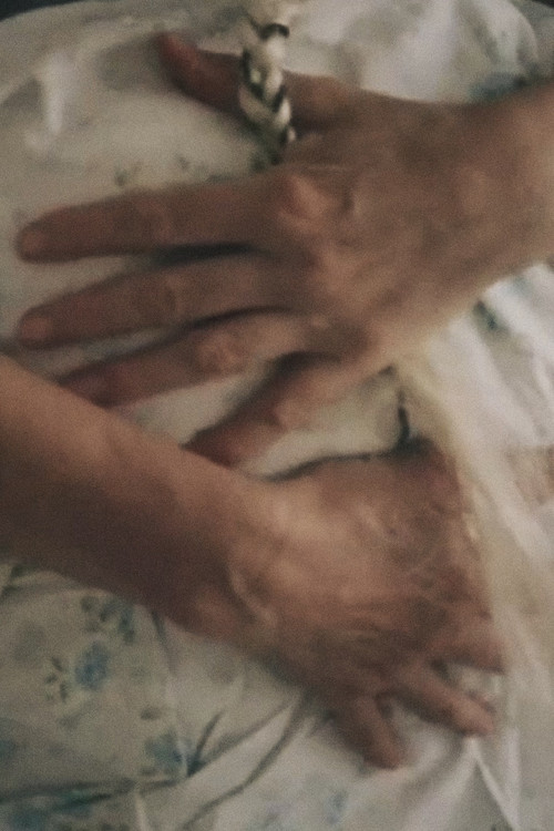 Butterfly in Winter poster