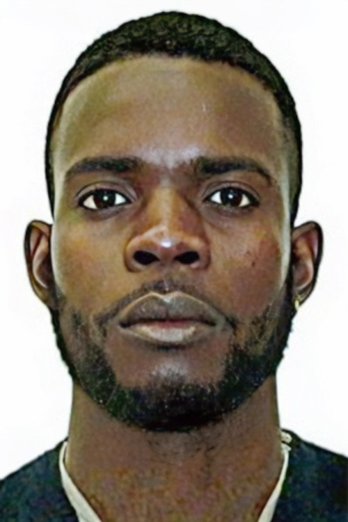 Mirady Lubanzadio Zola as Self