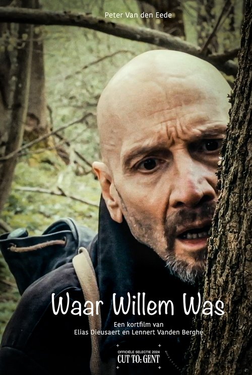 Waar Willem Was poster