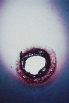 24 Frames per Second poster