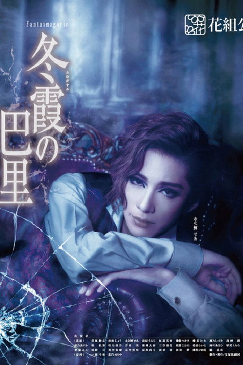 Paris in the Winter Fog poster