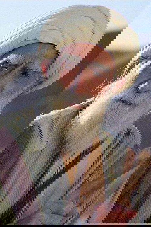 Parviz Shahinkhou as Bahman's Uncle