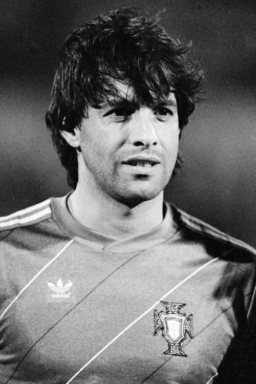 Lima Pereira as Próprio