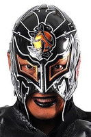 Tetsuya Shimizu as BUSHI
