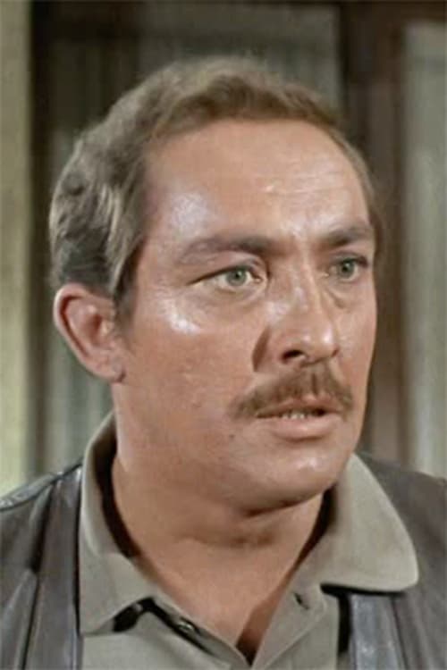 Steve Ihnat as Ross Duellan